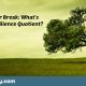 Bend or Break: What’s Your Resilience Quotient?
